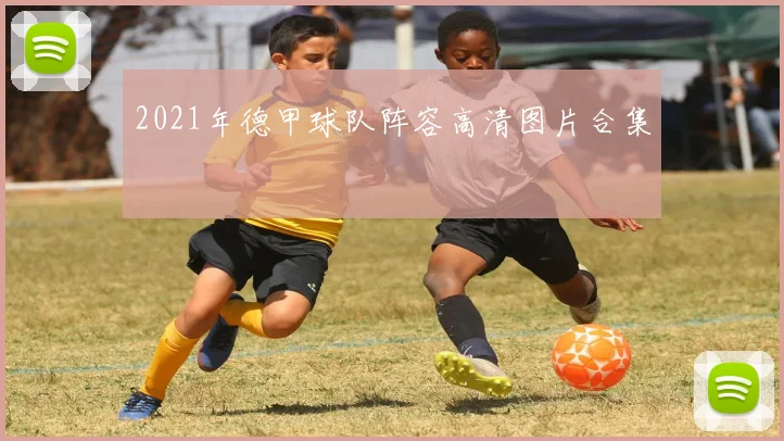 2021年德甲球队阵容高清图片合集