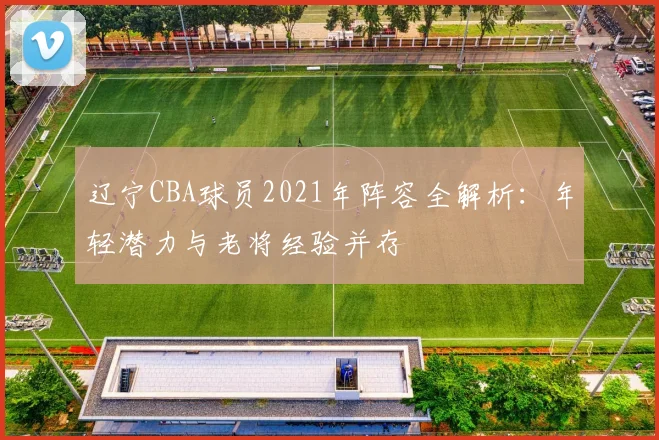 辽宁CBA球员2021年阵容全解析：年轻潜力与老将经验并存